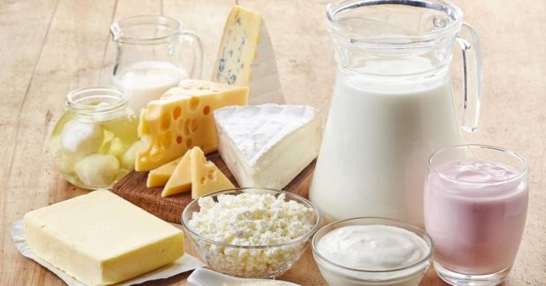 Los lácteos: Yogurt y Leche