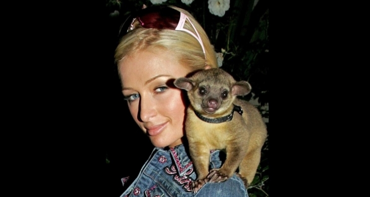 Las mascotas más excéntricas de los famosos 1 Las mascotas más excéntricas de los famosos