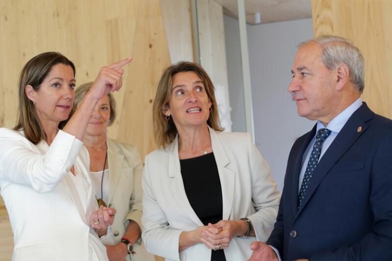 Ribera apremia a la Xunta para que agilice la tramitación de parques eólicos para Alcoa en Lugo
