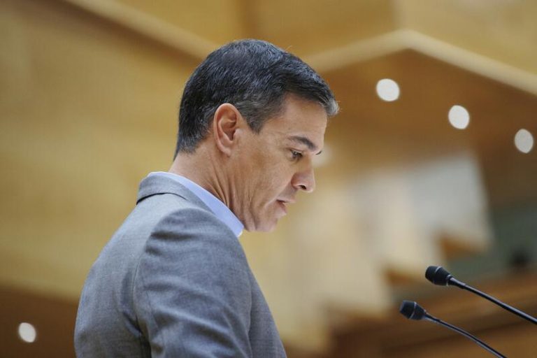Pedro Sánchez dice 