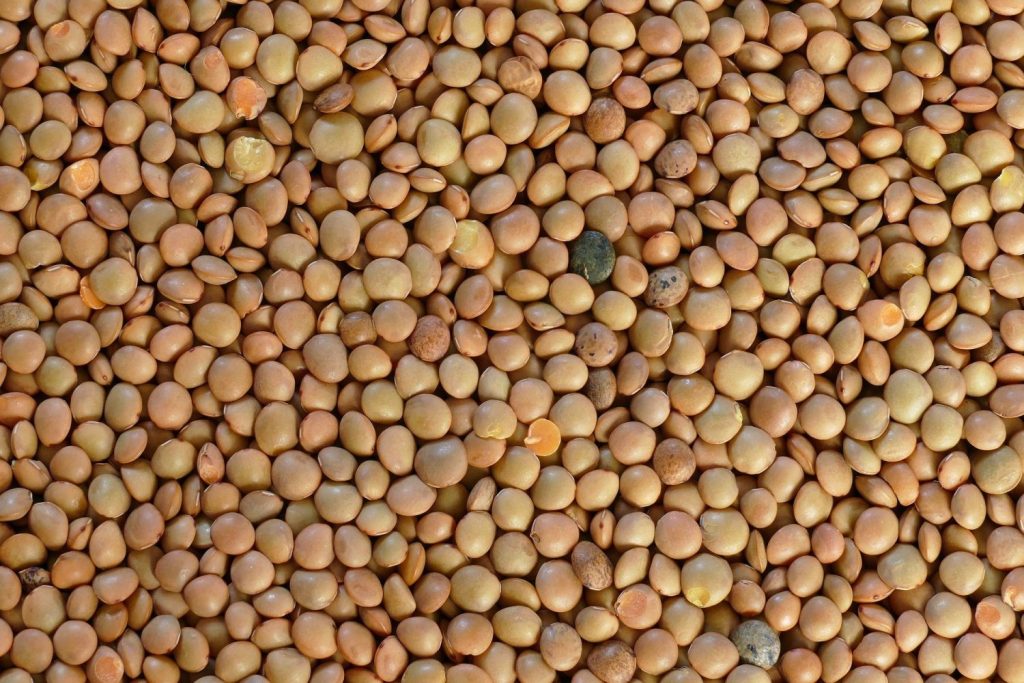 Señales que te avisan de que tienes anemia 75 Señales que te avisan de que tienes anemia