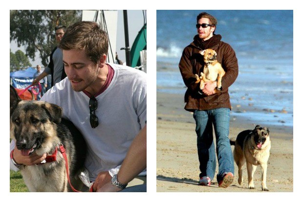 Famosos que no dudaron en adoptar animales sin hogar