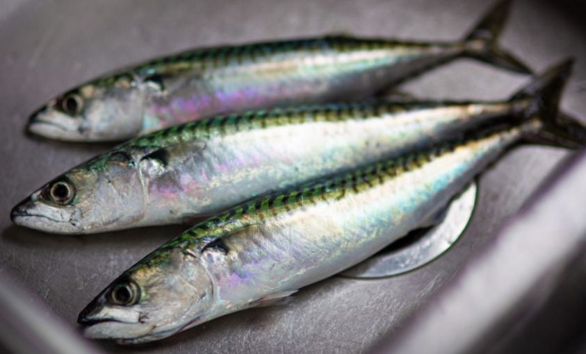 Boquerones en vinagre: el truco para que queden blancos y duros