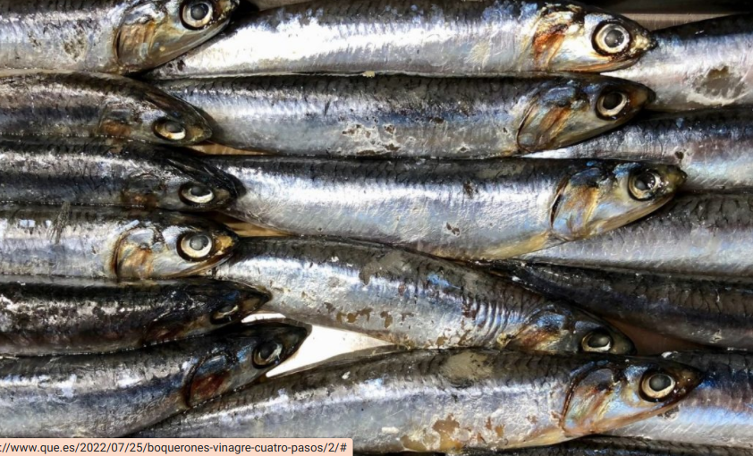 Boquerones en vinagre: el truco para que queden blancos y duros