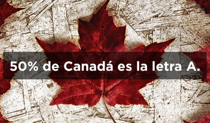 Datos obvios a los que jamás le habías prestado atención