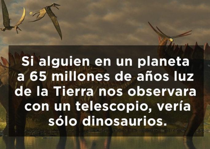 Datos obvios a los que jamás le habías prestado atención