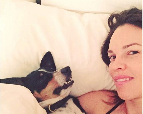 Famosos que no dudaron en adoptar animales sin hogar