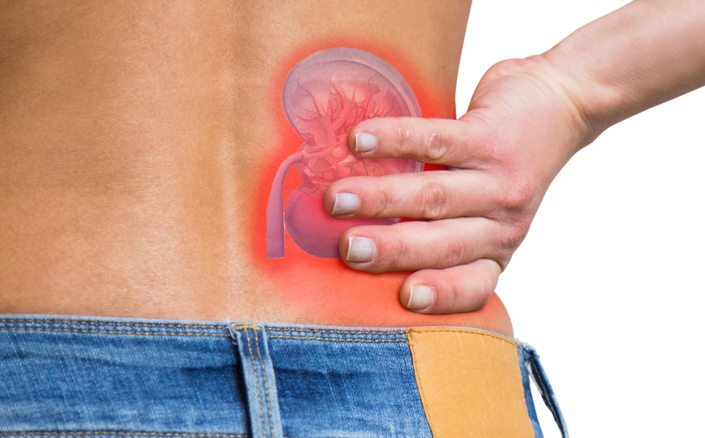 El grupo de las enfermedades Nefríticas