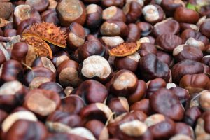 El truco para hacer castañas en el microondas y que salgan buenas