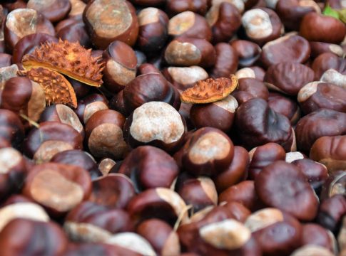 El truco para hacer castañas en el microondas y que salgan buenas11 El truco para hacer castañas en el microondas y que salgan buenas