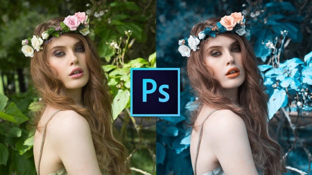 Lo que dicen los puristas