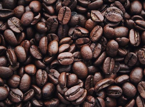 Esto es lo que puedes hacer con los posos del café Esto es lo que puedes hacer con los posos del café