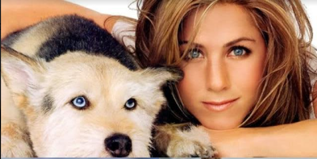 Famosos que no dudaron en adoptar animales sin hogar