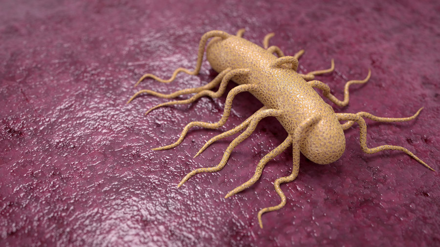 Sin morcilla, lomo, salchichón o chorizo: la alerta de Sanidad que te pone a régimen 3 Sin morcilla, lomo, salchichón o chorizo: la alerta de Sanidad que te pone a régimen