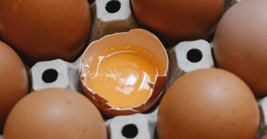 Por qué hay que guardar los huevos en el frigorífico 178 La salmonela