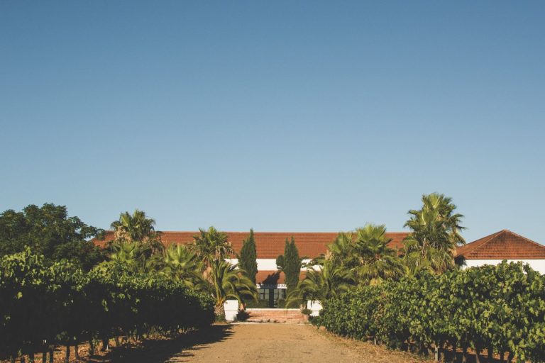 Palacio Quemado Crianza 2019, un valor seguro para un tinto otoñal