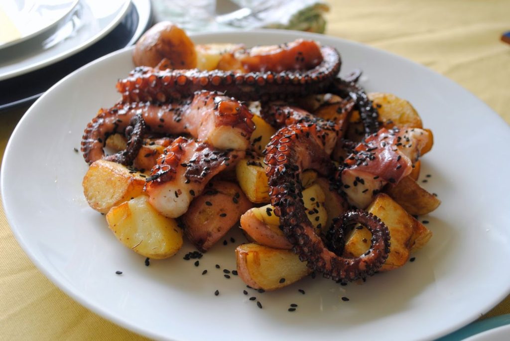 Pulpo1