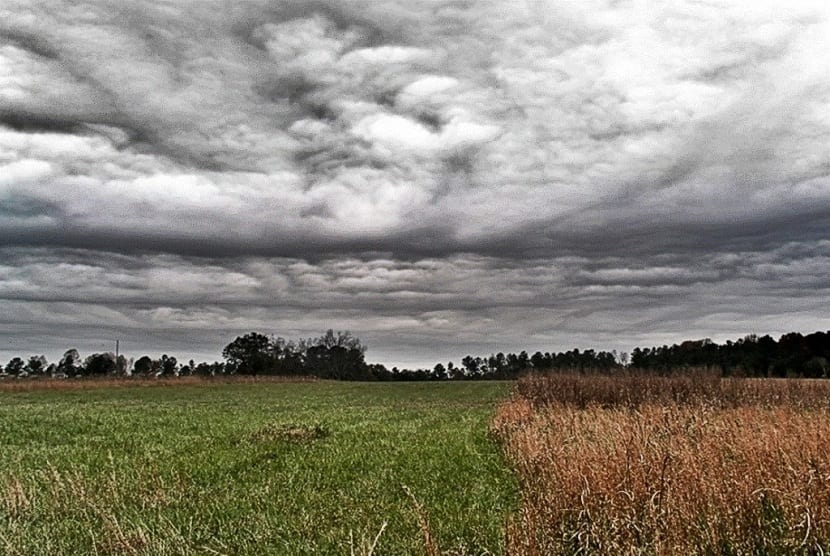 Qué son las cabañuelas 125 ¿Qué importancia tienen los días 1 y 24 de agosto?