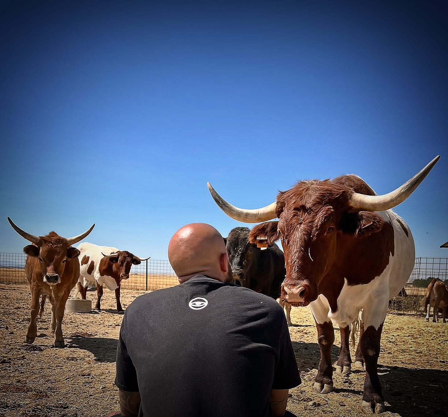 WhatsApp Image 2022 10 19 at 2.44.31 PM 1