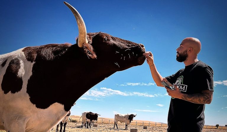 Alberto Salto, el emprendedor que ha conseguido convertirse en el “As de las carnes”