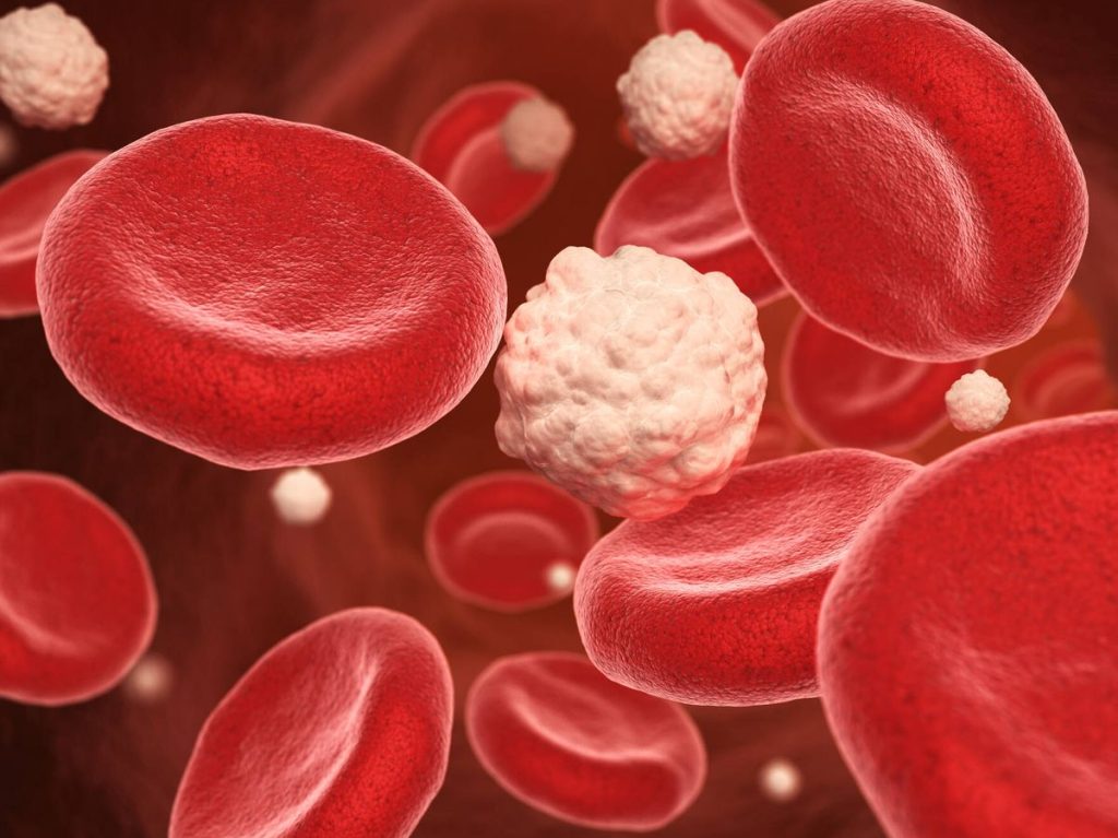 f.elconfidencial.com original 08f d65 651 08fd65651397132227ead0cffa4f9f77