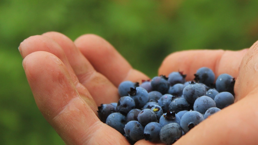 Los 'superalimentos' que no pueden faltar en tu dieta 107 superalimentos