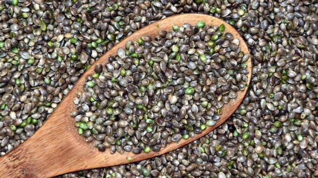 Los 'superalimentos' que no pueden faltar en tu dieta 109 chía superalimentos