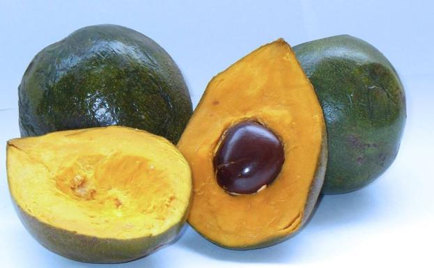 Los 'superalimentos' que no pueden faltar en tu dieta 111 image 106