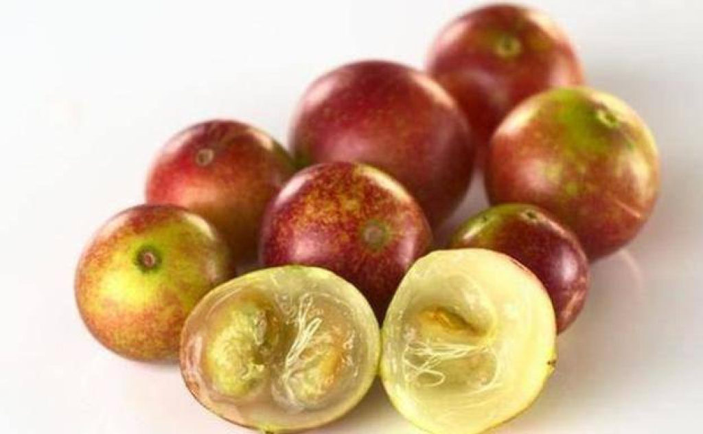 Los 'superalimentos' que no pueden faltar en tu dieta 112 camu camu superalimentos