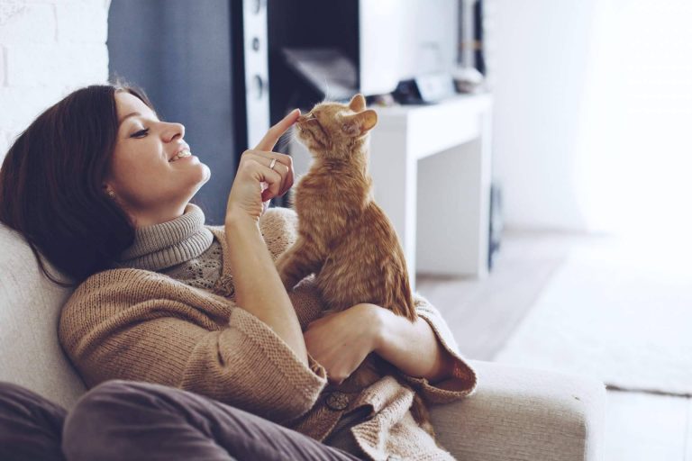 Comprender el comportamiento de los gatos para convivir mejor con ellos