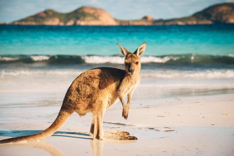 Australia va hacia España