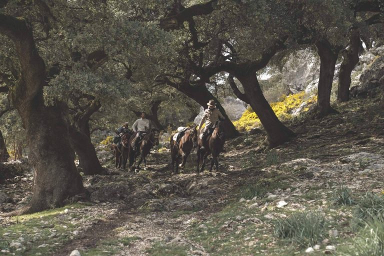 Maktub Bohemian Rides expone los beneficios que ofrece hacer paseos en caballo