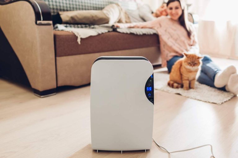Analizar y comparar los mejores deshumidificadores del mercado con Hogar Climatizado, web de referencia en climatización para el hogar