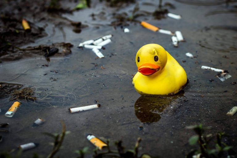 Recuperación de suelos, aguas y espacios contaminados