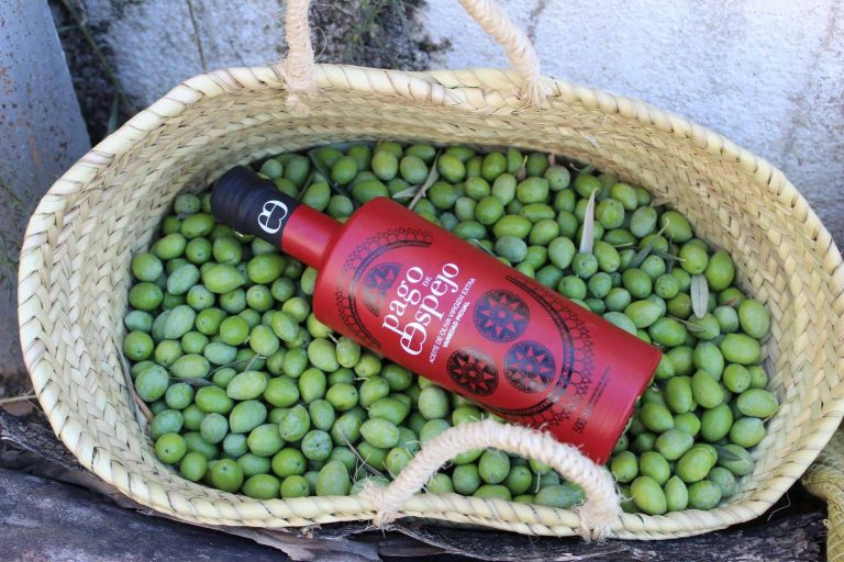 Pago de Espejo tiene lista su cosecha de AOVE 2022-2023