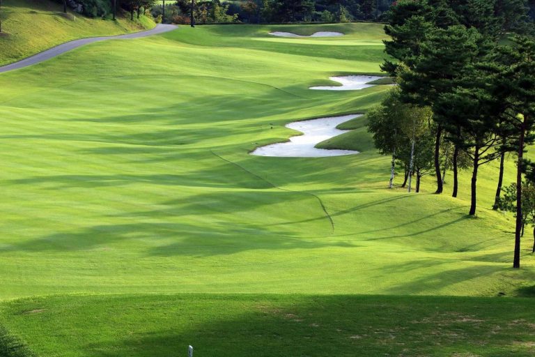 SAECO, suministros ecológicos y asesoramiento agrícola para cuidar y potenciar los cultivos