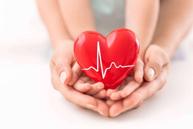 Seguros Academy, un equipo de expertos en seguros de deceso