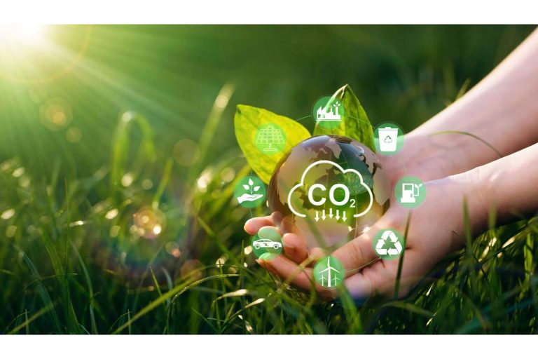 Proyectos sostenibles para disminuir la huella de carbono, con ClimateTrade