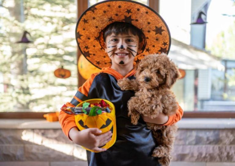 Halloween: este es el origen de la tradición del “truco o trato”