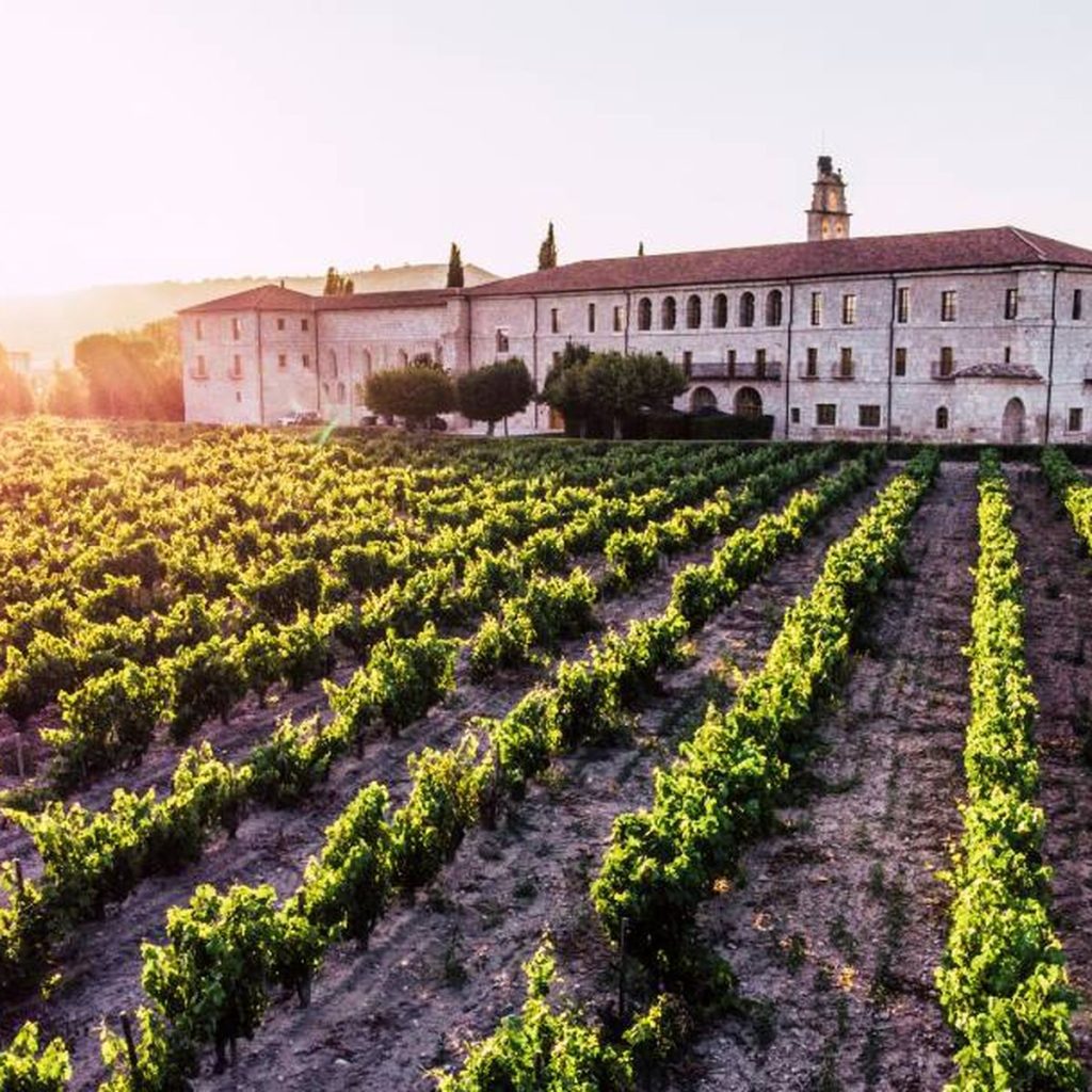 La comparación con los Ribera del Duero