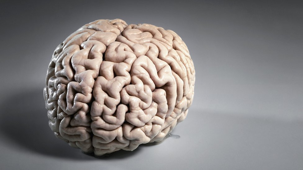 El tamaño de tu cerebro se reduce al dormir mal