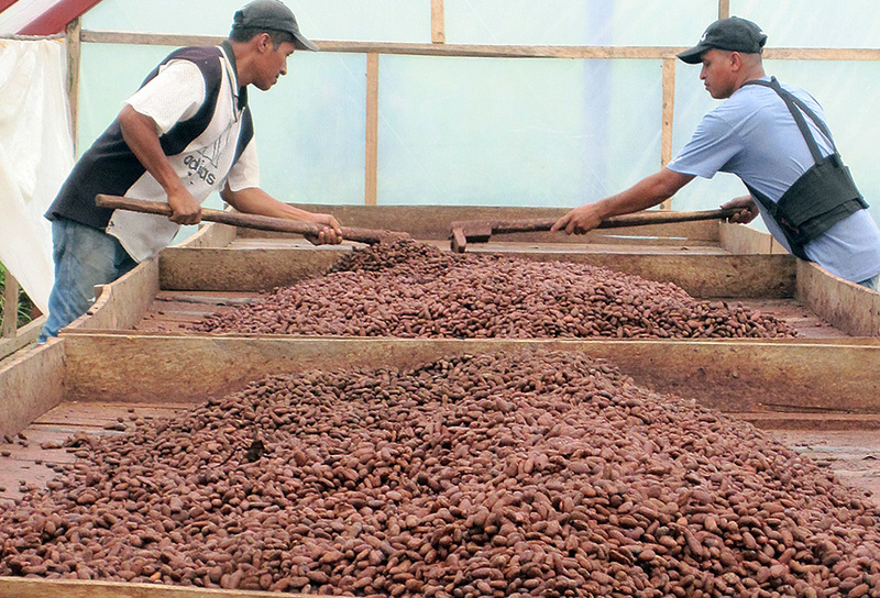 Esta es la fórmula secreta del ColaCao 135 La elaboración final