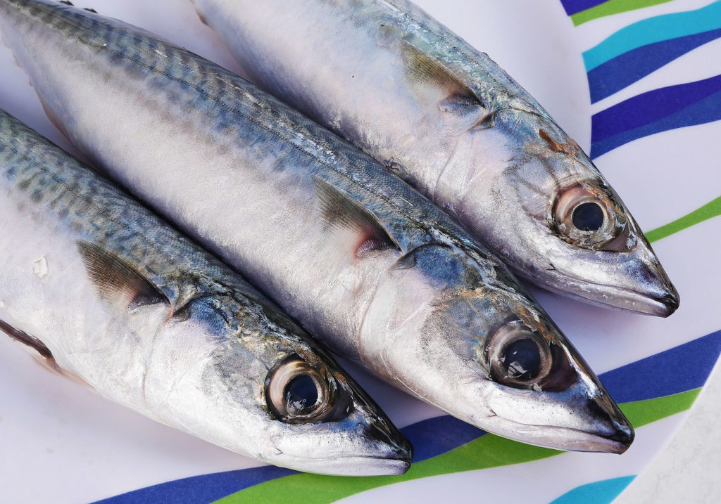 Pescados que no deberías consumir 215 La caballa