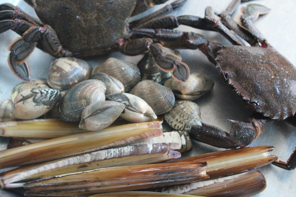 Si quieres comprar navajas o longueirones