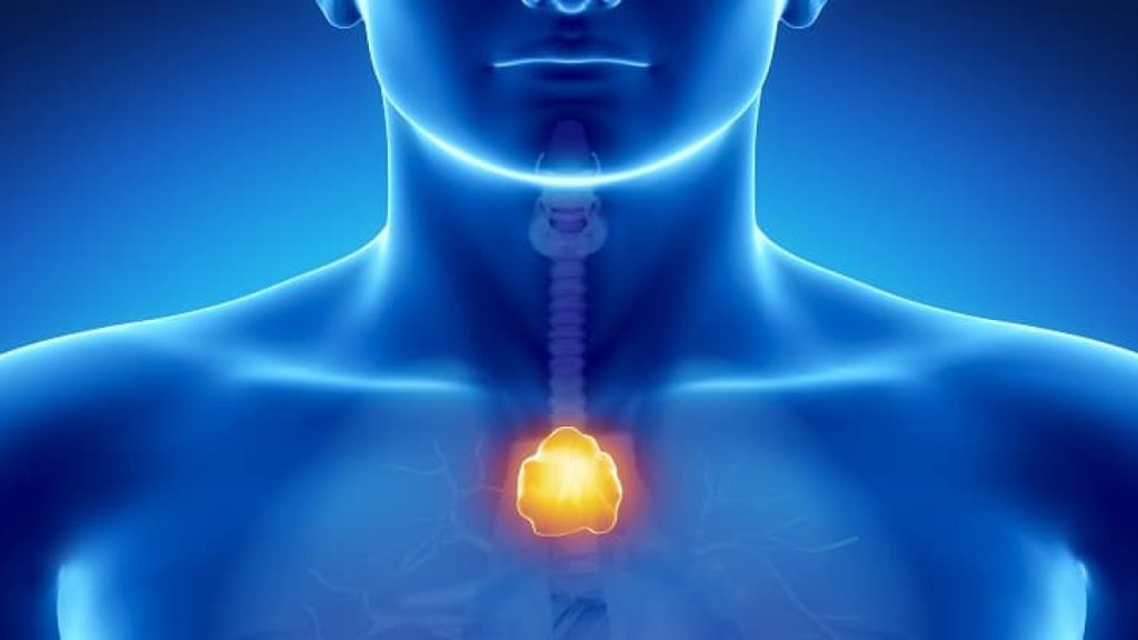 Dr. Ángel Cunill Castro