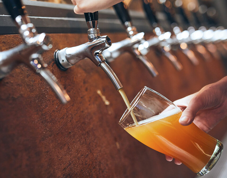 La cerveza mejora la memoria