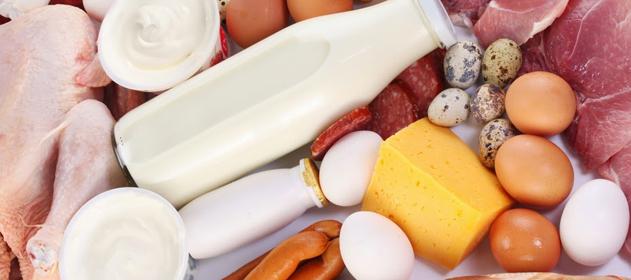 Cosas que nunca debes decirle a un vegetariano