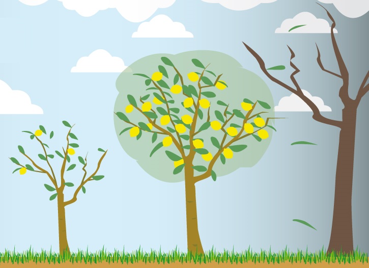 Cosas que nunca debes decirle a un vegetariano