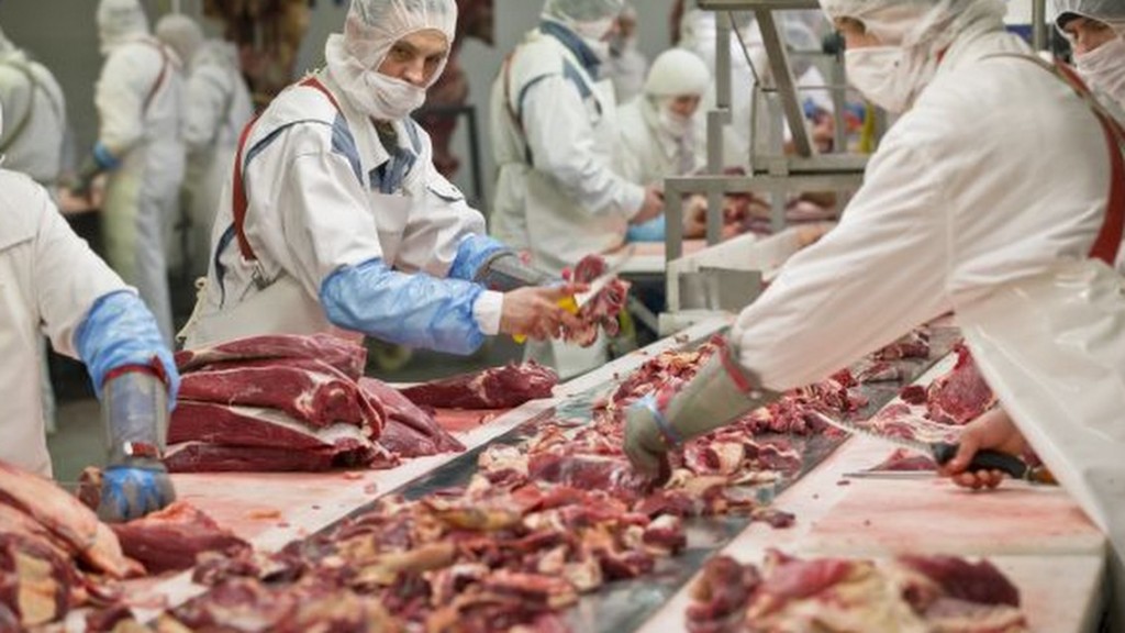 Cosas que nunca debes decirle a un vegetariano