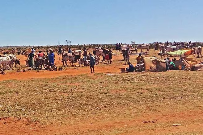 El cambio climático puede traer otro 'jinete del apocalipsis': el hambre 130 cambio climático y hambre